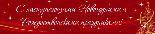НГ-2013